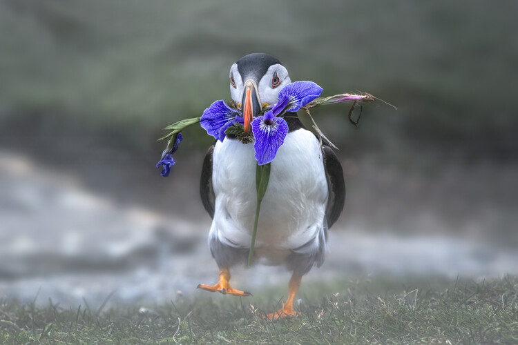 Canvas Print Honey, I love you