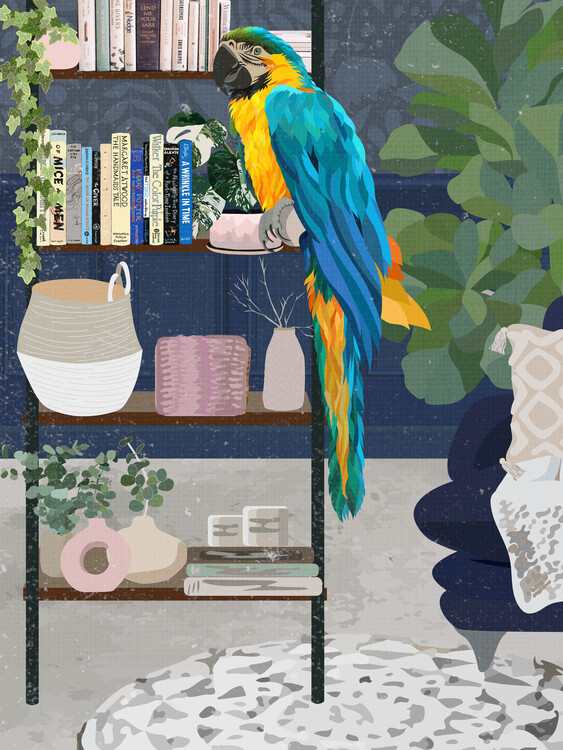 Poster Macaw and the bookshelf