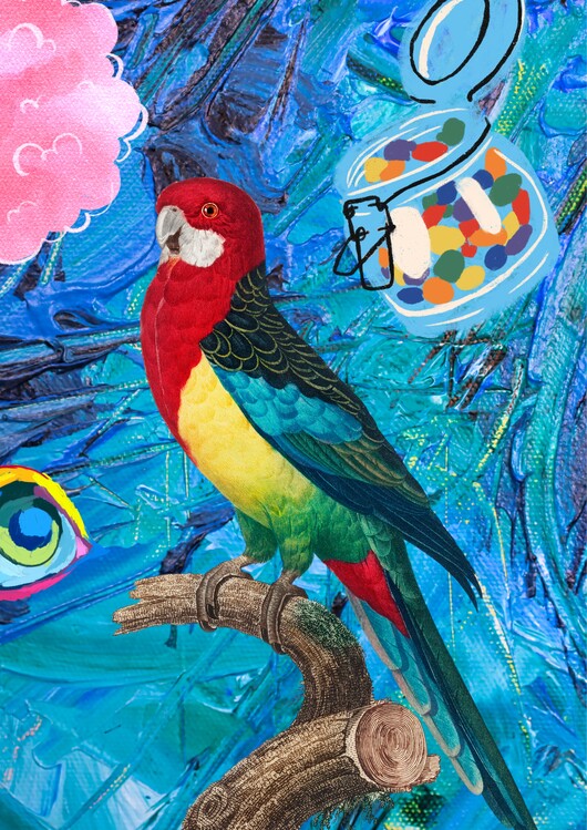 Плакат Parrot Party Poster