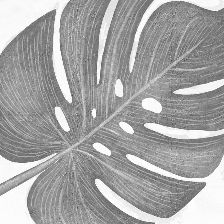 Plakat Monstera Leaf III