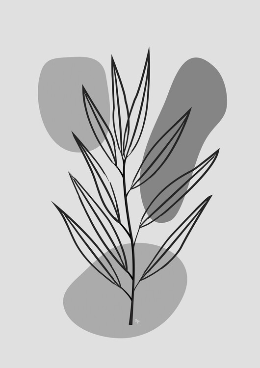 Poster Grey Plant