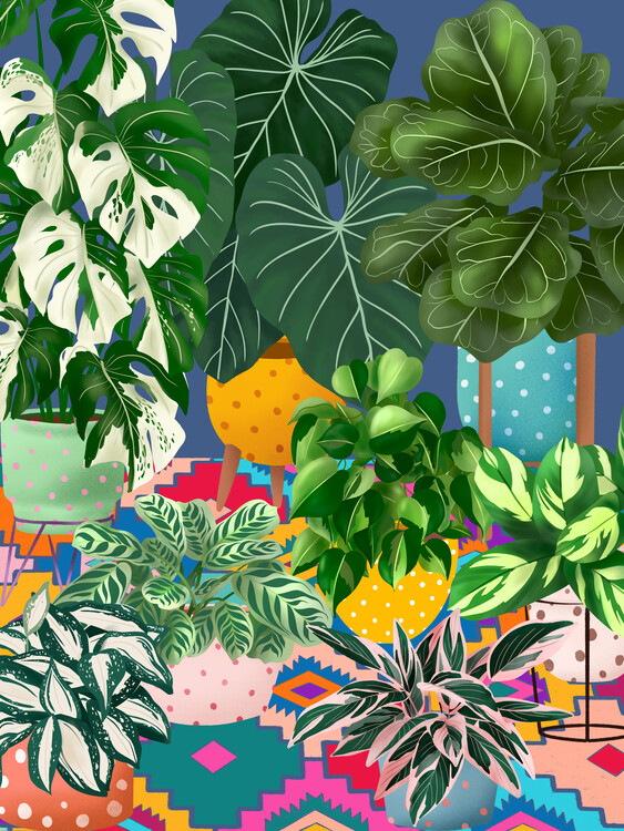 Poster Colourful Potted Plants
