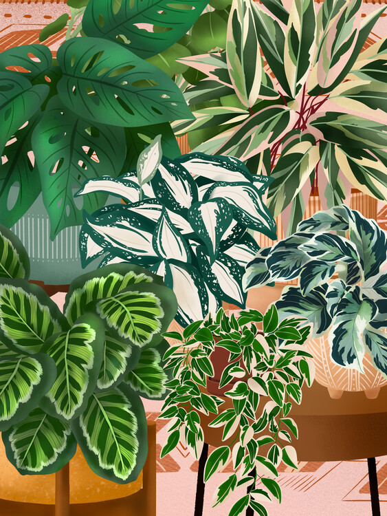 Poster House Plants 3