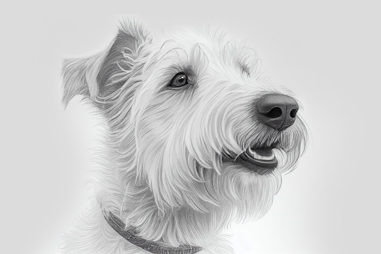 Плакат Drawing of a portrait of a dog