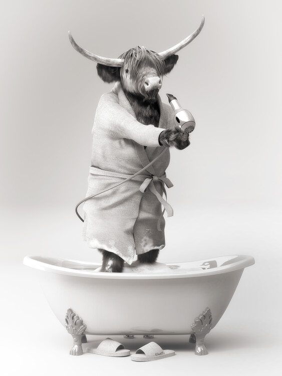 Poster Scottish highland cattle in a bathtub,funny bathroom