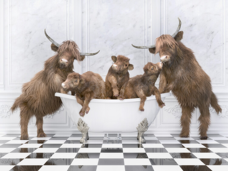 Poster Scottish highl family in the bathroom Wall Art