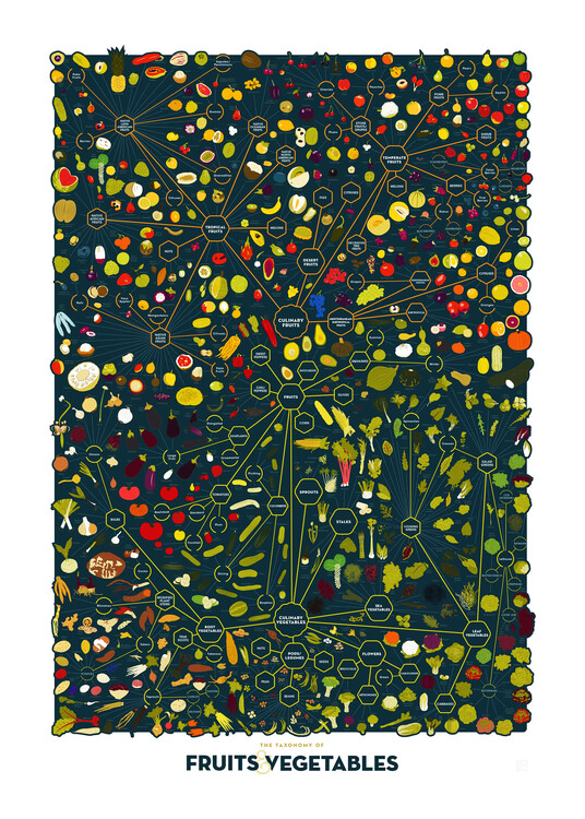 Poster The Taxonomy of Fruits & Vegetables