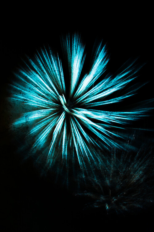 Αφίσα Flower