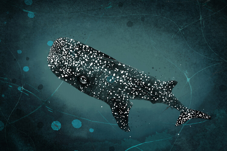 Poster Lea Schulze - Whaleshark