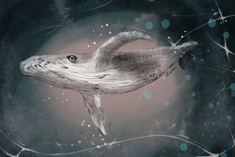 Poster Lea Schulze - Whale