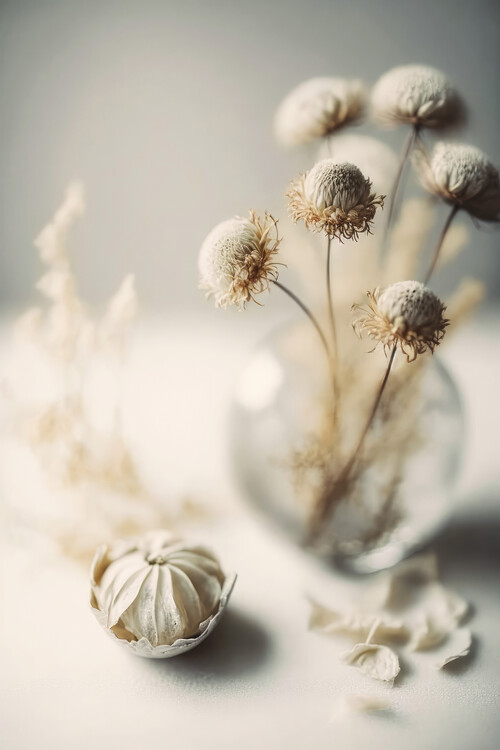 Poster Still Life Impressions No 8