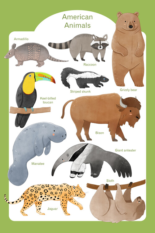 Plakát Judith Loske - American Animals