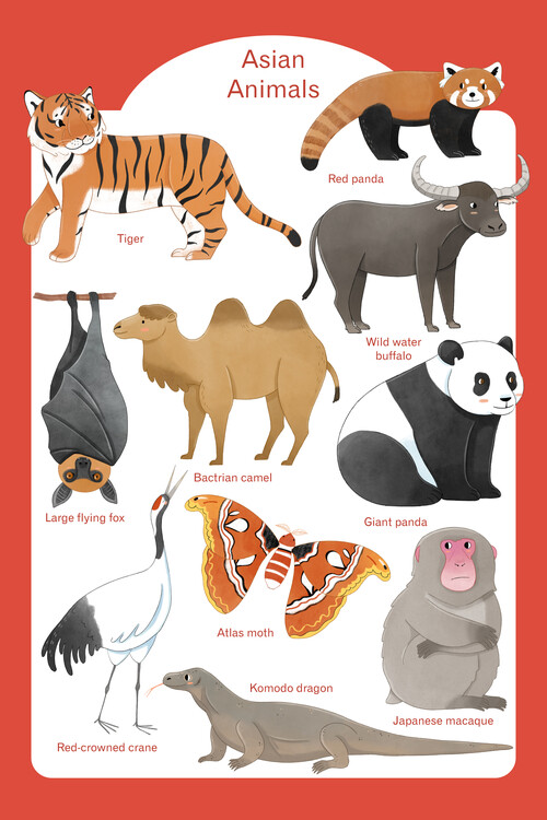 Plakát Judith Loske - Asian Animals
