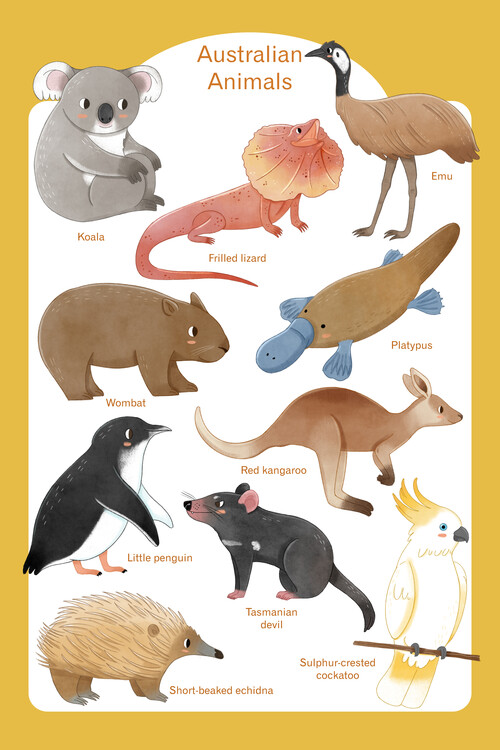 Plakát Judith Loske - Australian Animals