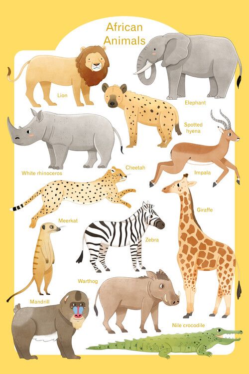 Plakát Judith Loske - African Animals