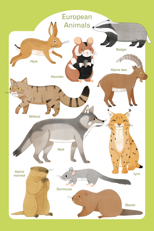 Plakát Judith Loske - European Animals