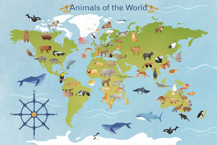 Bild auf Leinwand Judith Loske - World Map of Animals