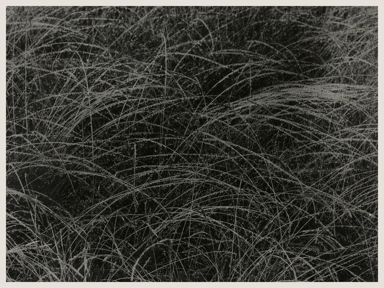 Poster Equivalent (Abstract Photography) - Alfred Stieglitz