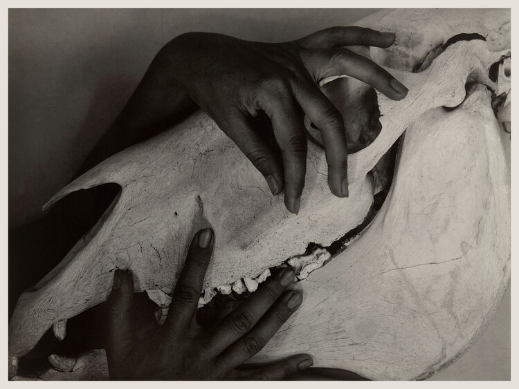 Poster Hands & Horse Skull (Georgia O’Keeffe) - Alfred Stieglitz