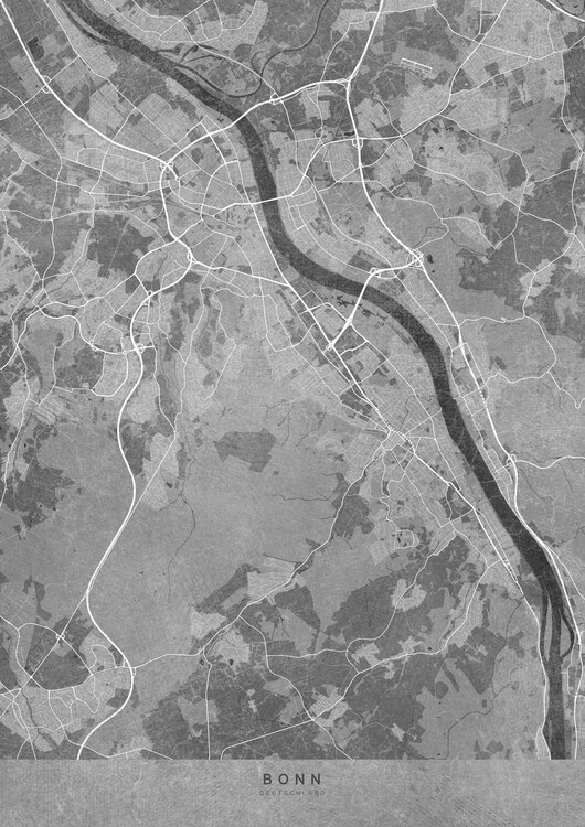 Poster Gray vintage map of Bonn Germany