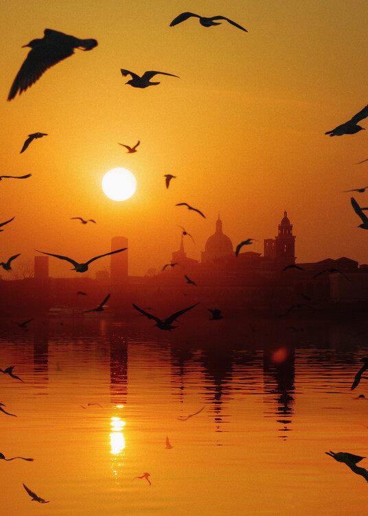 Poster Charming Birds