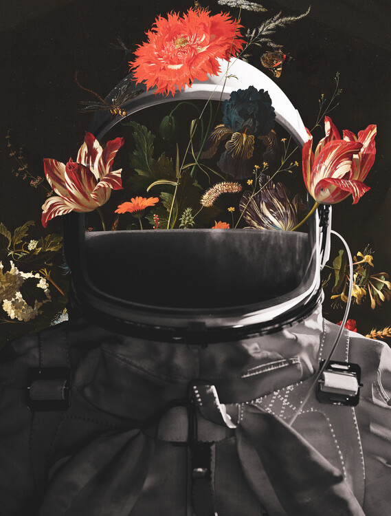 Плакат Bloom