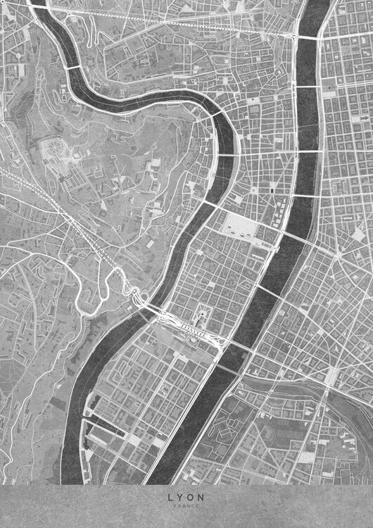 Poster Gray vintage map of Lyon downtown (France)