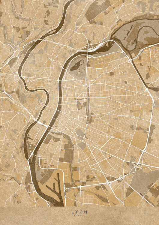 Poster Sepia vintage map of Lyon (France)