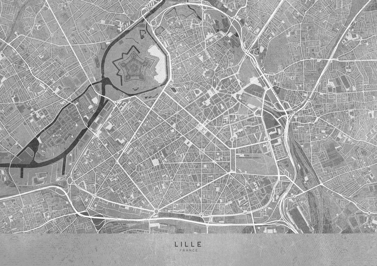 Poster Gray vintage map of Lille downtown (France)