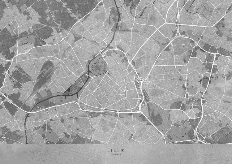 Poster Gray vintage map of Lille (France)