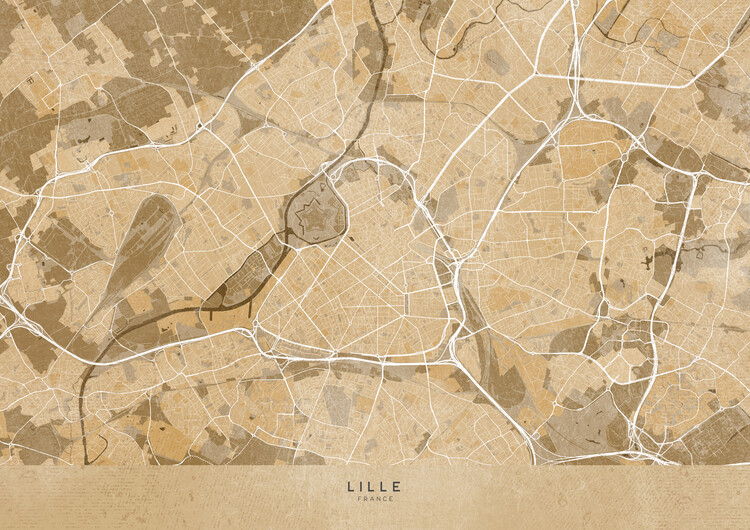 Poster Sepia vintage map of Lille (France)