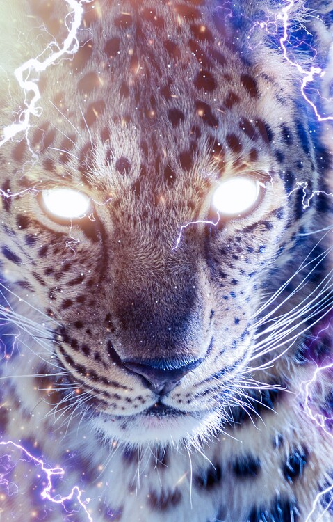 Plagát Leopard master of fire and lightning