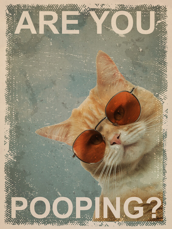 Plakat Funny Cat: Are You Pooping?