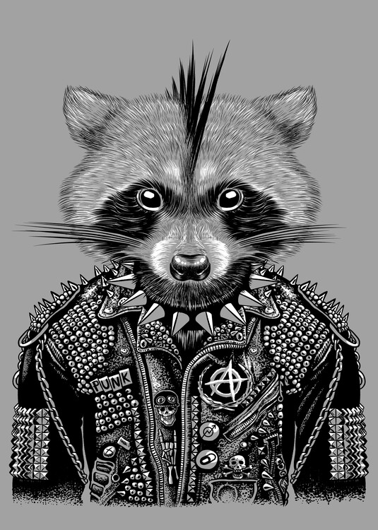 Poster Punk Raccoon
