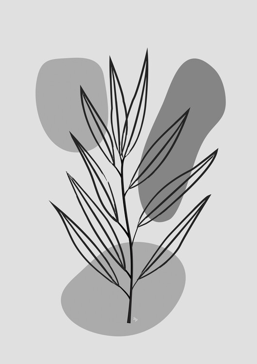 Poster Grey Plant