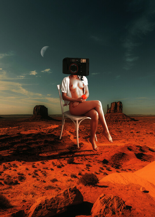 Poster take a selfie