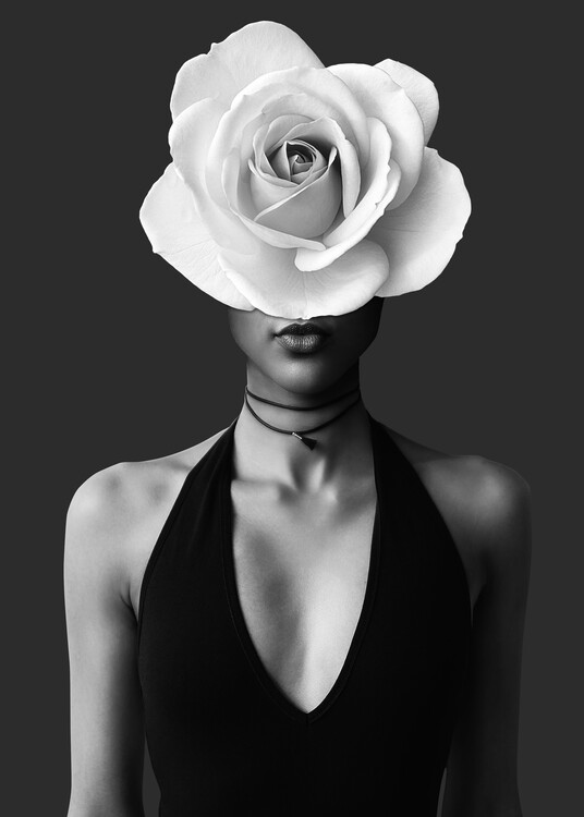Poster Rose