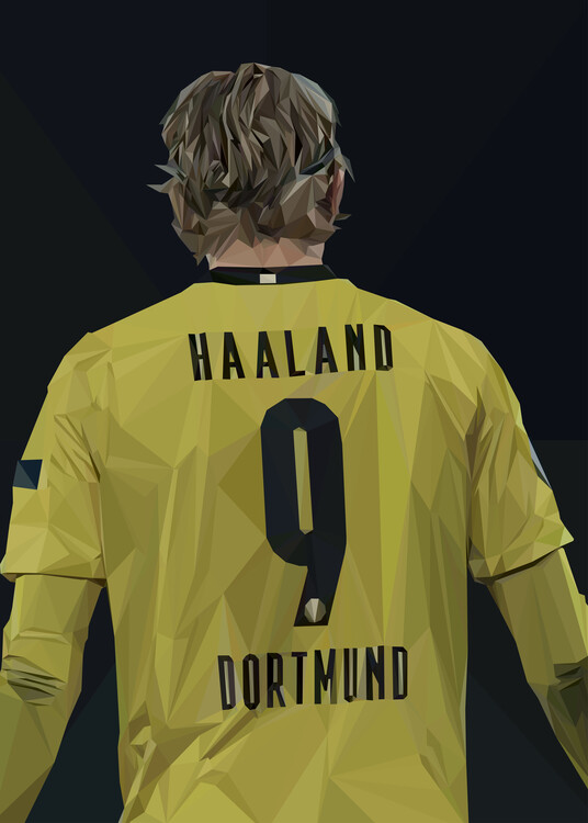 Canvas Print Haaland