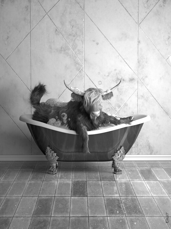 Poster Scottish highland in Tub Printable Wall Art, Scottish cow