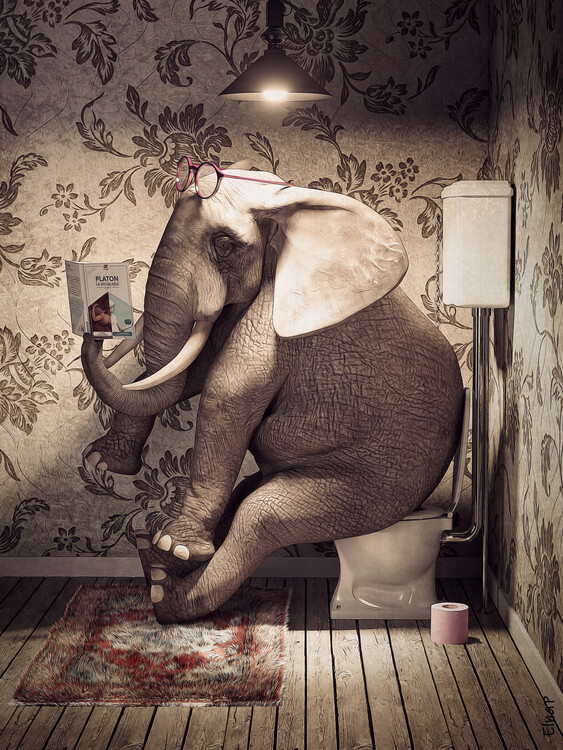 Poster Elephant on toilet reading a book, funny animal wall art
