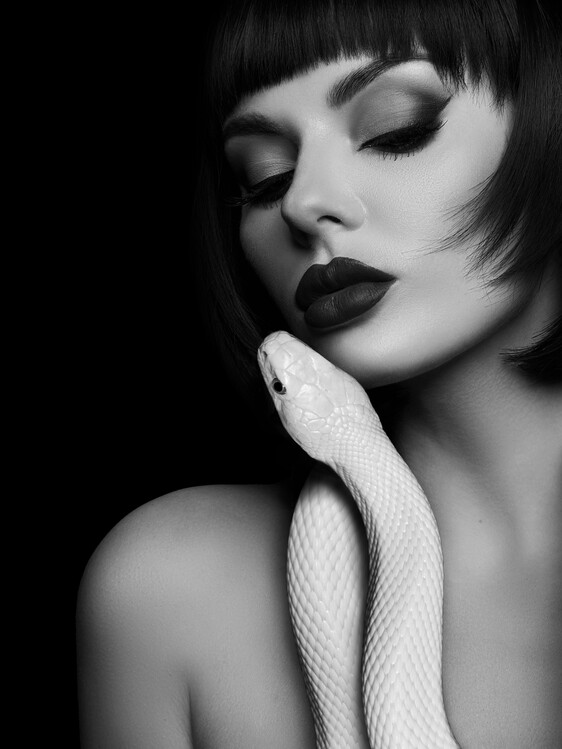 Poster Forbidden Embrace