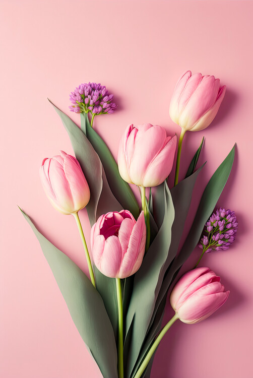 Poster Pink Tulips