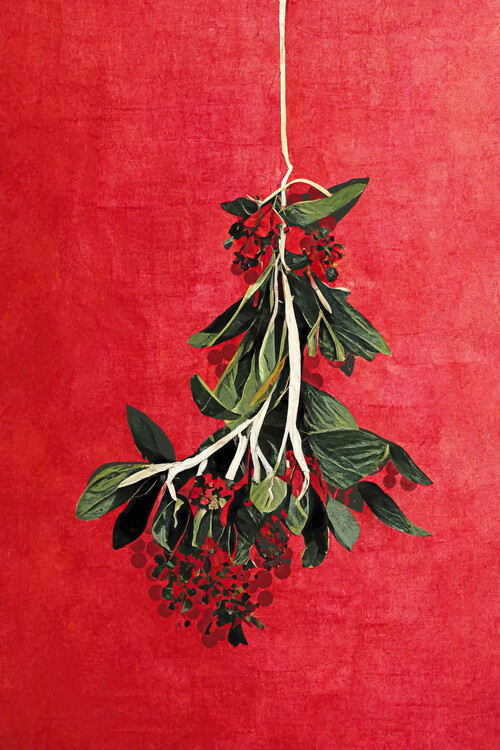 Poster Painted Mistletoe
