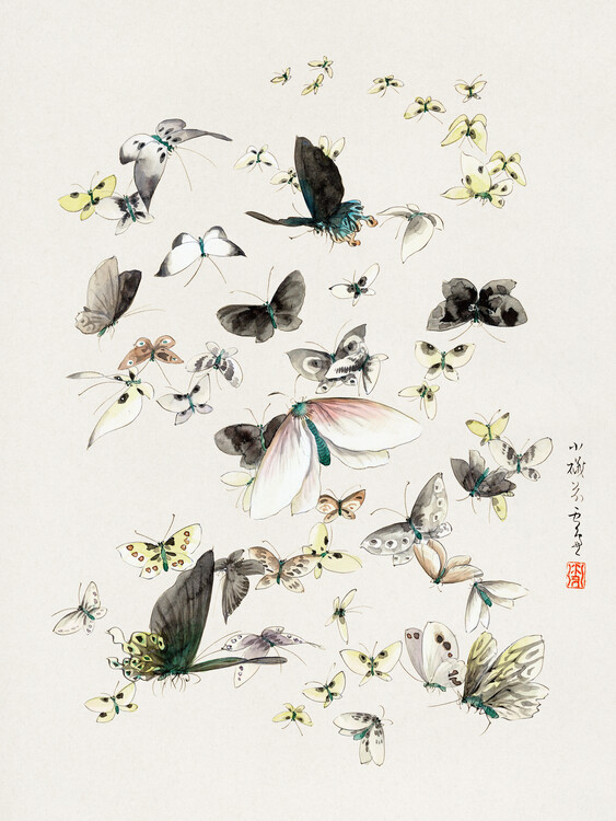 Poster Butterflies & Moths (2 of 2) - Katsushika Hokusai