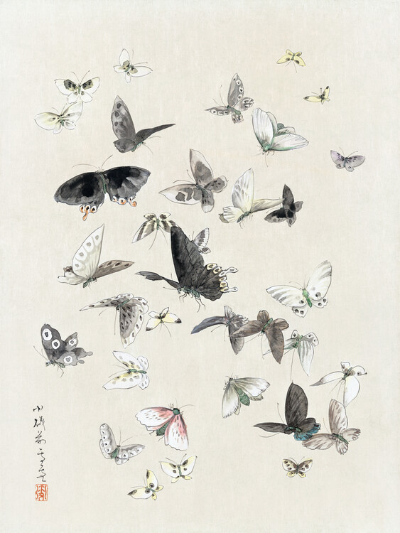 Poster Butterflies & Moths (1 of 2) - Katsushika Hokusai