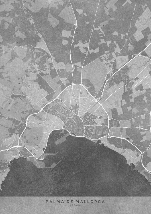 Poster Map of Palma de Mallorca (Spain) in gray vintage style