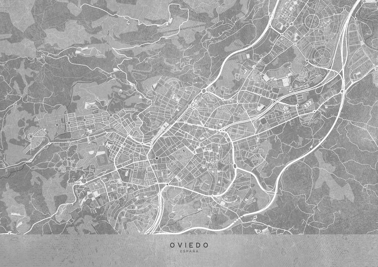 Плакат Map of Murcia (Spain) in gray vintage syle