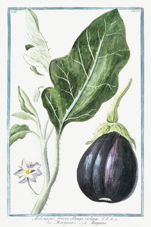 Poster Mad Apple, Aubergine