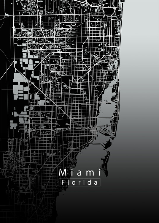 Plakat Miami Florida City Map dark