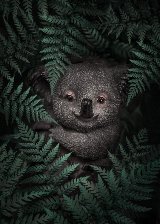 Poster Cute Baby Koala